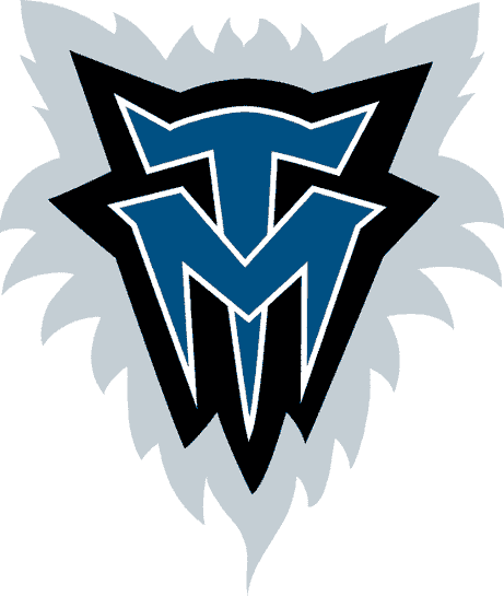 Minnesota Timberwolves 1996-2007 Alternate Logo cricut iron on